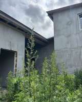 Дом 148,7 м² на участке 19,27 сотки
