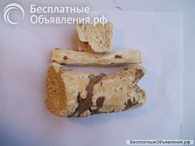 Мыльный корень
