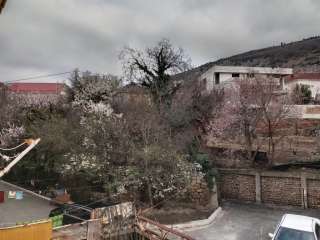 Комната в Балаклаве (Крестовского)