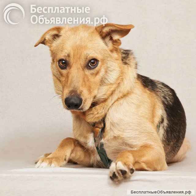 Майя ищет дом