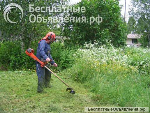 Покос травы кустарников на участке