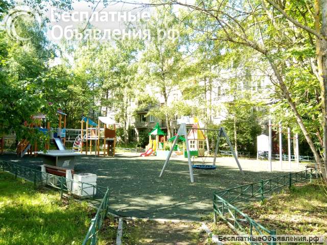 2хк.кв. 43 кв.м. Новый Петергоф