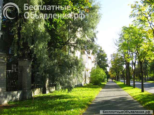 2хк.кв. 43 кв.м. Новый Петергоф