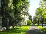 2хк.кв. 43 кв.м. Новый Петергоф