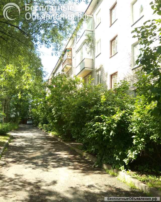 2хк.кв. 43 кв.м. Новый Петергоф