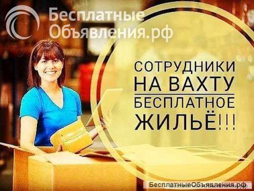 Разнорабочие