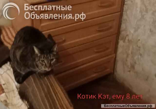 Ласковые сиротки ищут дом