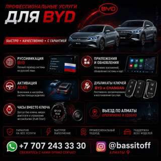 BYD профессиональные услуги в Алматы