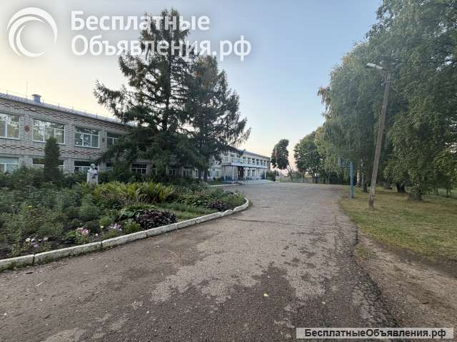 Главный бухгалтер/ бухгалтер