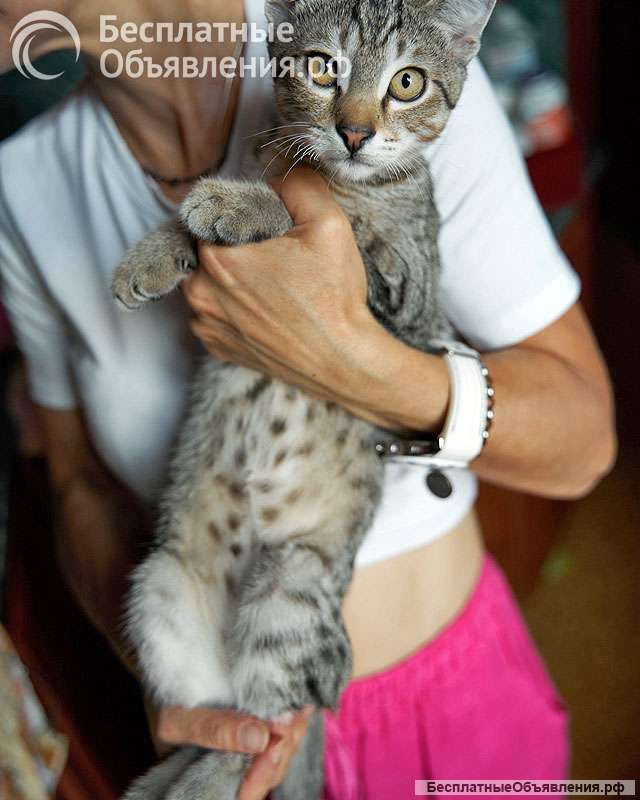 Он один остался ждать свою семью
