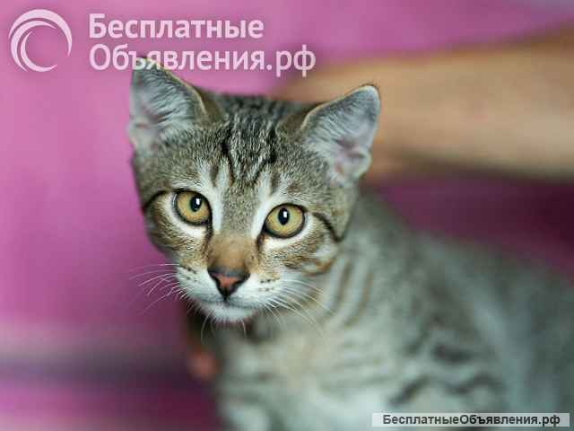 Он один остался ждать свою семью
