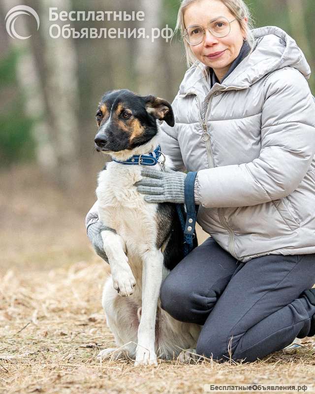 Круз, пёс, который умеет обнимать сердцем