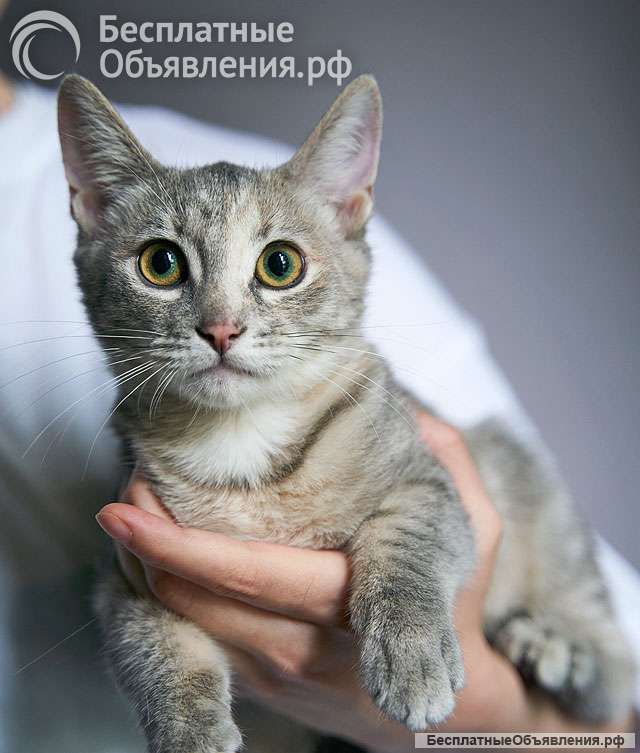 Ника очень ждёт свою семью