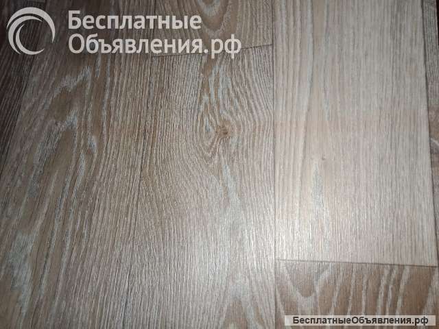 Линолеум Jutex