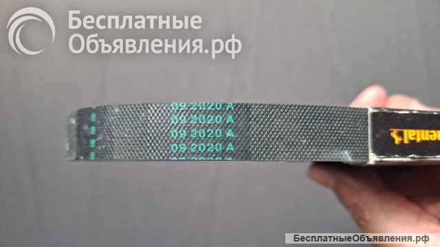 Поликлиновой ремень Continental (ContiTech) 4PK815