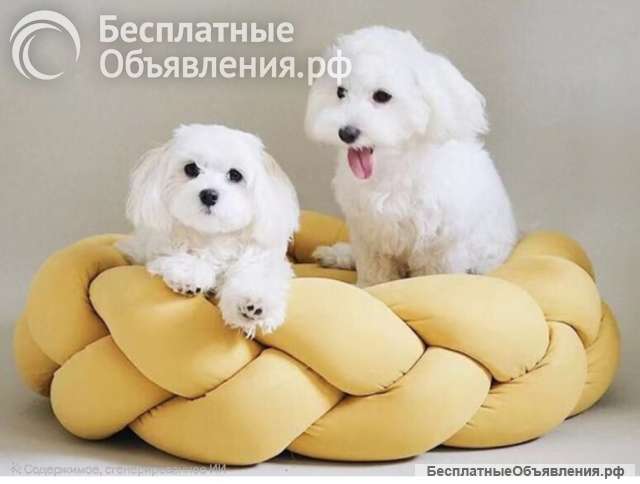 Лежанки для животных из дерева