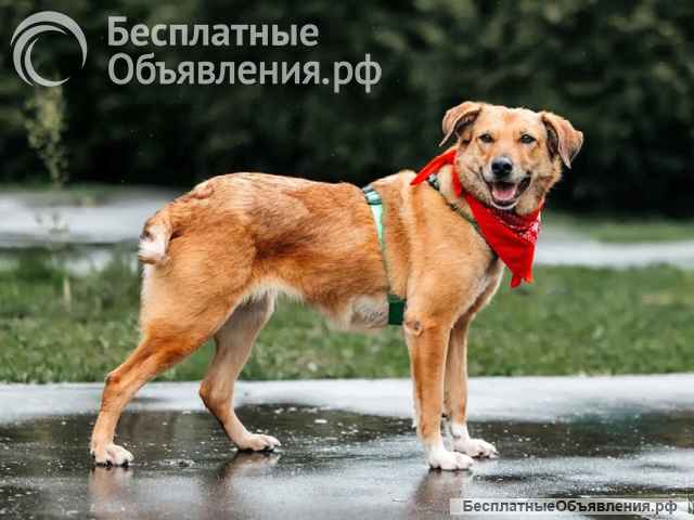 Она всё ещё верит, даже после того, как её предали