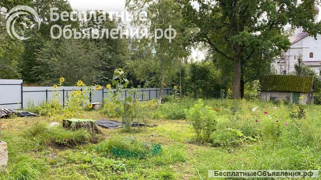 Участок 18 соток у Чудского озера д. Спицыно