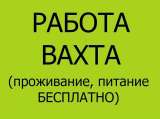 Разнорабочий на производство и склад (Москва и МО)