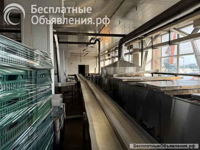 Туннельный пастеризатор с охладителем