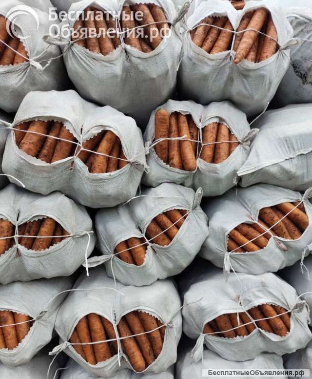 Экспорт С/Х продукции из РБ