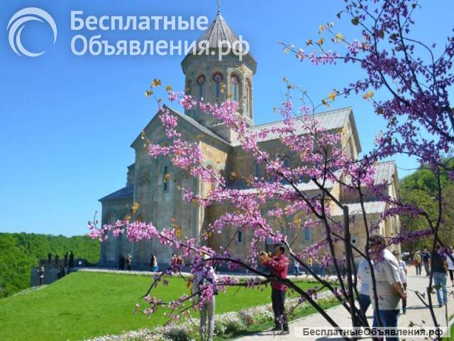 Туры в Грузию