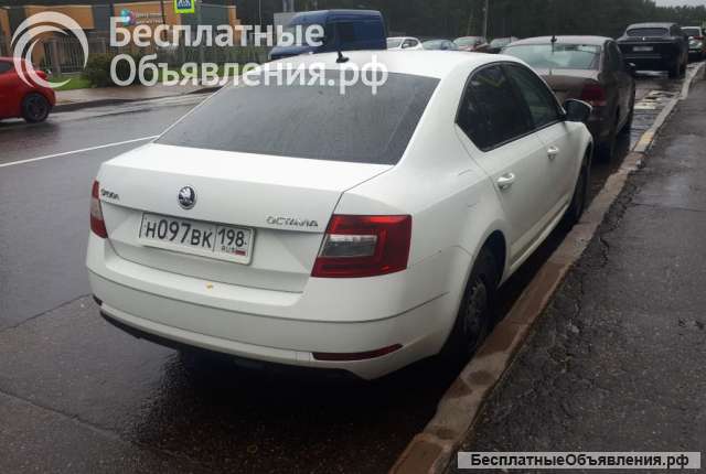Помощник по хозяйству Личный водитель