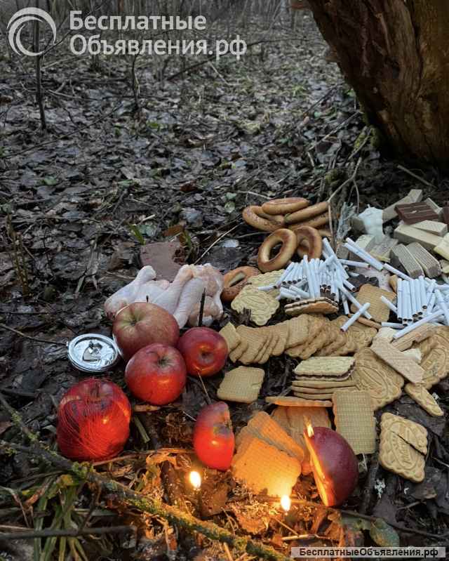 Таролог и практик. Расклады, ритуалы, чистки