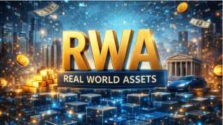 Бизнес партнёр в проект по токенизации реальных секторов экономики Rwa nft defi