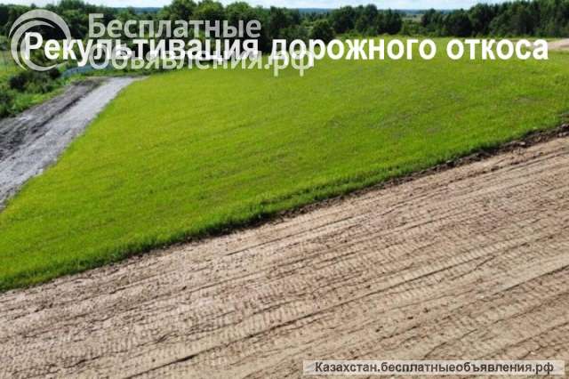 Рекультивация земель