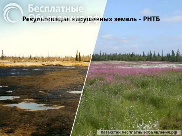 Рекультивация земель