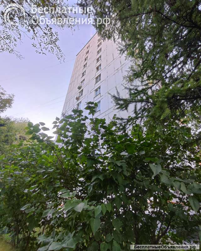 2к квартира Сокольники