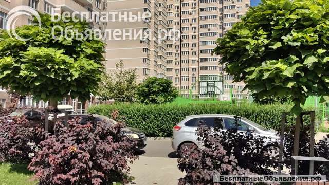 Просторная студия в новом кирпичном доме