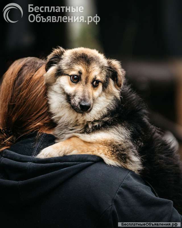 Гэлакси, девочка, в чьих глазах целая вселенная