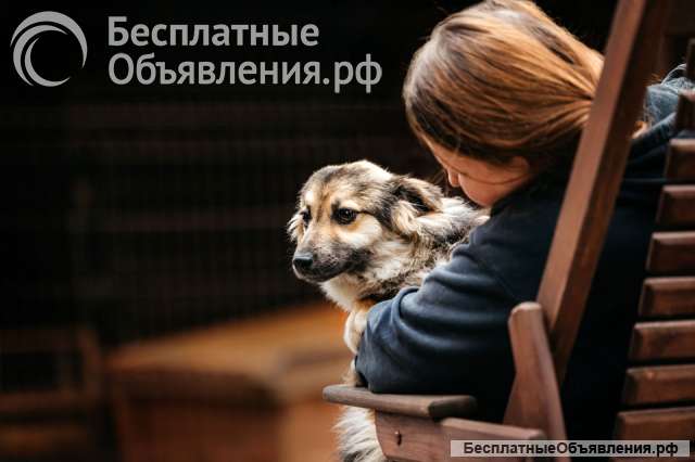 Гэлакси, девочка, в чьих глазах целая вселенная