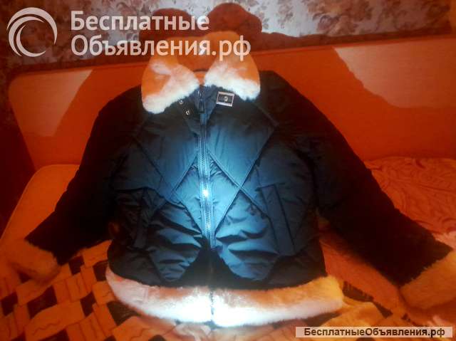 Пуховик, Куртка
