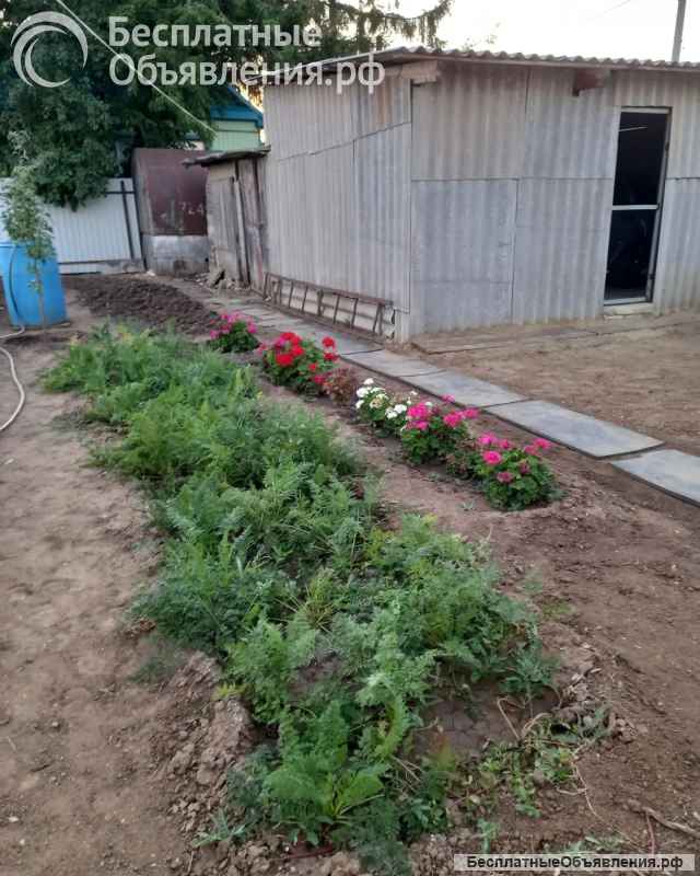 Дом