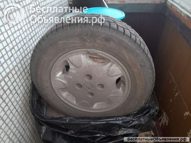 Шины с диками в сборе