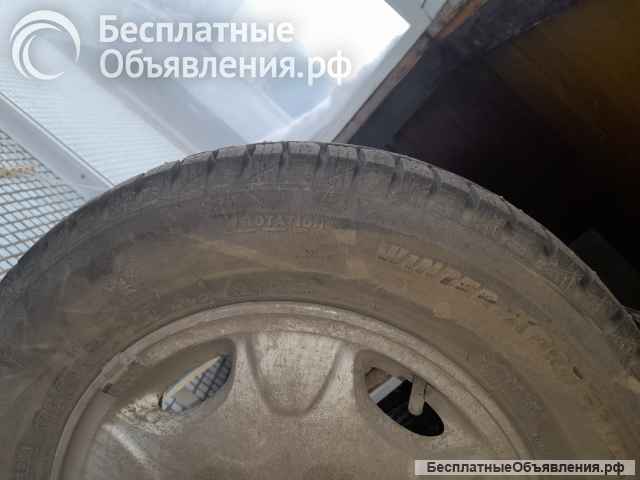 Шины с диками в сборе