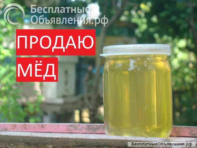 Мёд оптом и в розницу