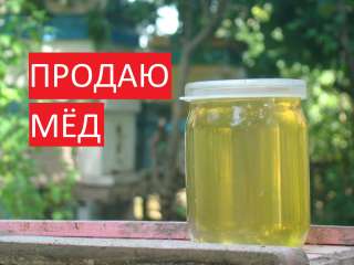 Мёд оптом и в розницу