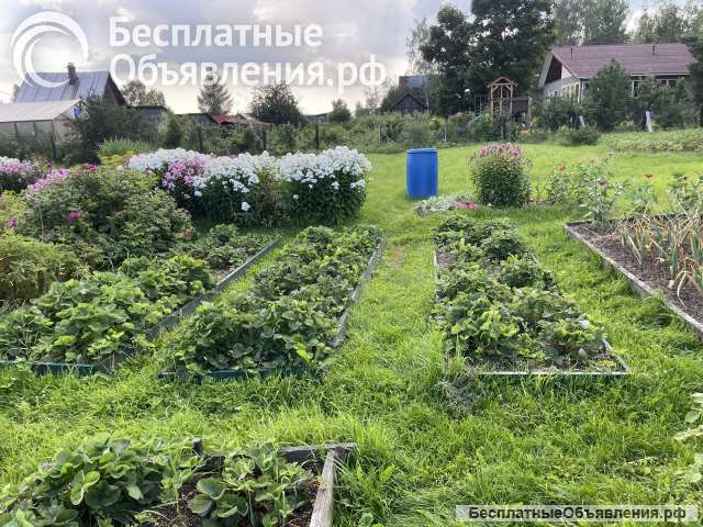 Дачу Костоусово