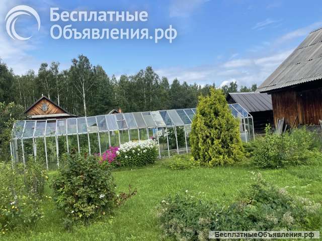Дачу Костоусово