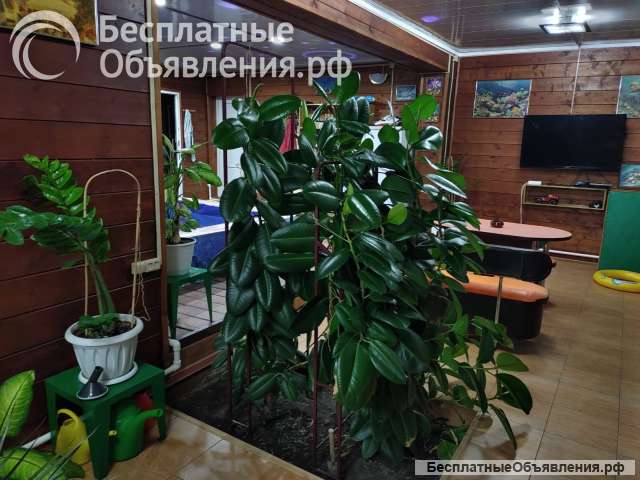 Коттедж