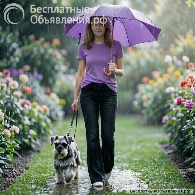 Домоправительница на час