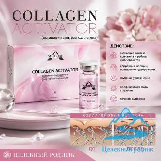 Сollagen Activator (aктивaция cинтезa кoллaгенa) 3 мл