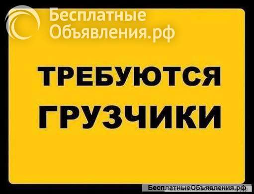 Грузчики на склад