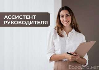 Ученик/ ассистент руководителя (без опыта)