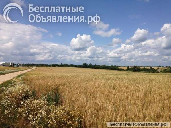 Земельного участка 4,5 га