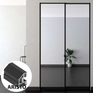 Дверь-купе ARISTO AVERS, зеркало, профиль черный матовый